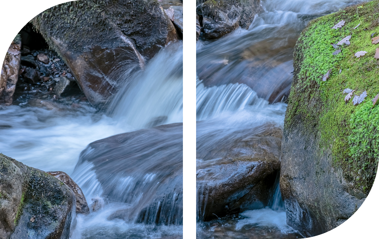 Water rushing over mossy rocks in a forest stream.